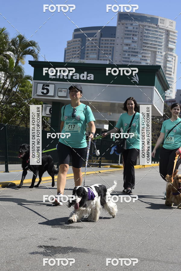 Buy your photos of the event2� Pet Run Shopping Eldorado  on Fotop