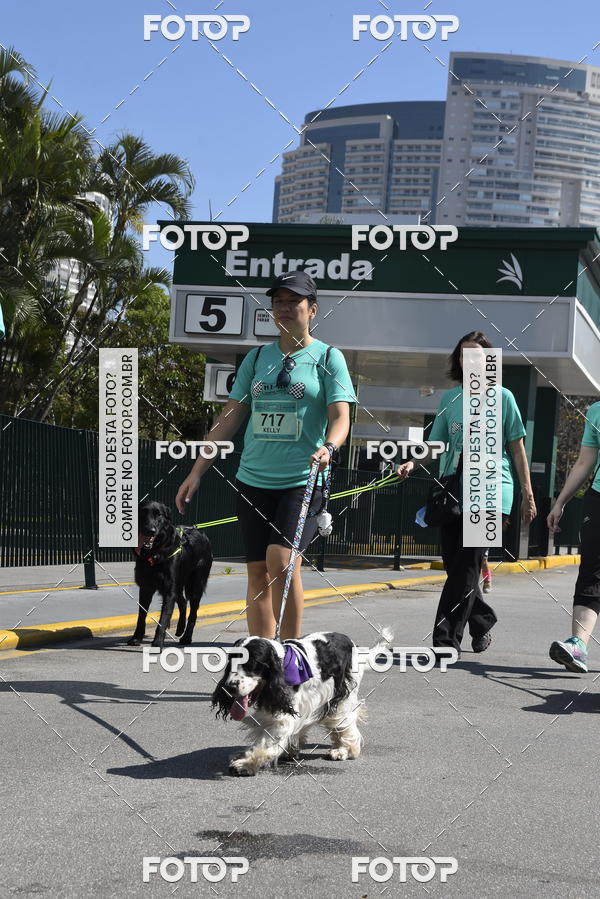Buy your photos of the event2� Pet Run Shopping Eldorado  on Fotop