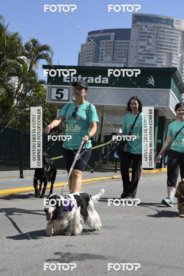 Buy your photos of the event2� Pet Run Shopping Eldorado  on Fotop