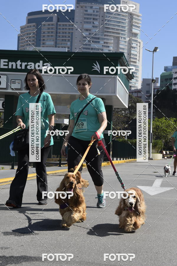 Buy your photos of the event2� Pet Run Shopping Eldorado  on Fotop