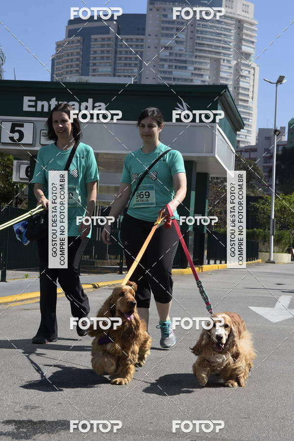 Buy your photos of the event2� Pet Run Shopping Eldorado  on Fotop