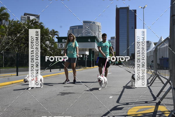 Buy your photos of the event2� Pet Run Shopping Eldorado  on Fotop
