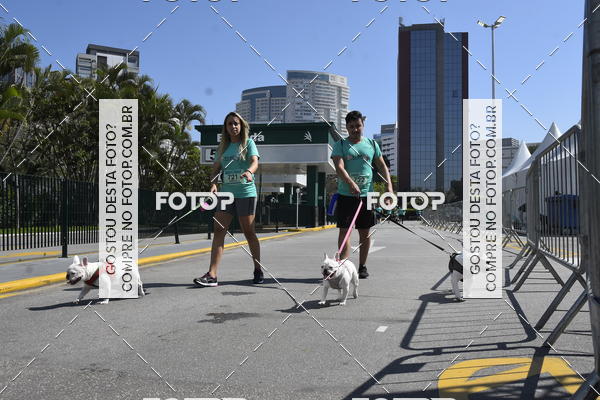 Buy your photos of the event2� Pet Run Shopping Eldorado  on Fotop