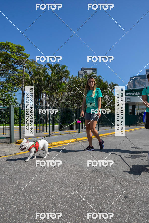 Buy your photos of the event2� Pet Run Shopping Eldorado  on Fotop