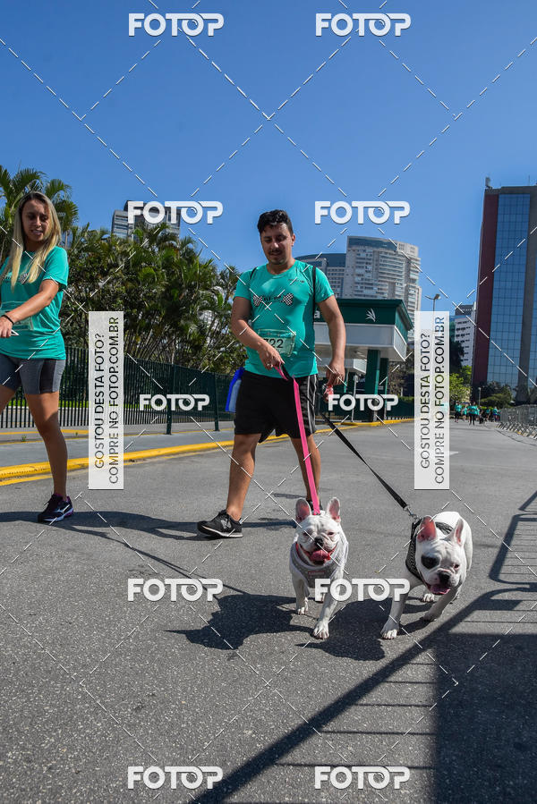 Buy your photos of the event2� Pet Run Shopping Eldorado  on Fotop