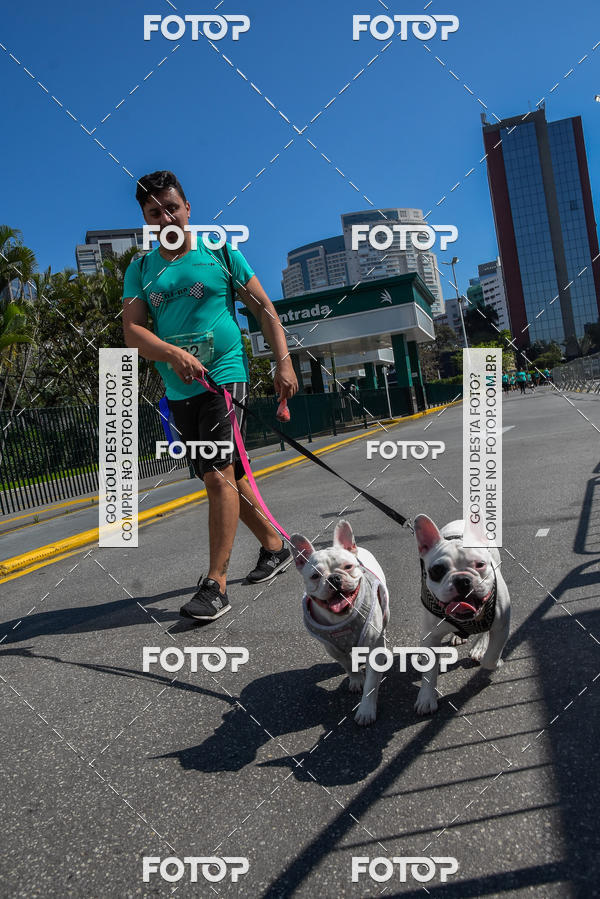 Buy your photos of the event2� Pet Run Shopping Eldorado  on Fotop