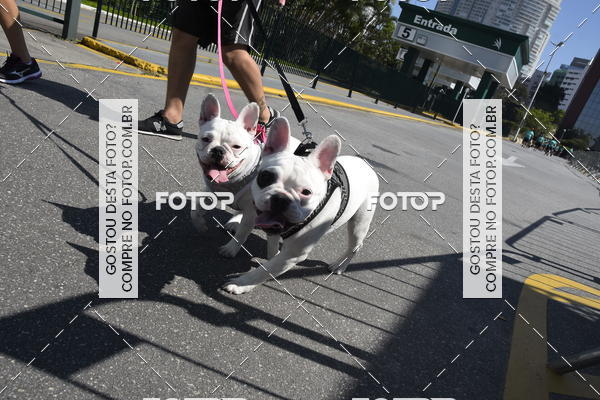 Buy your photos of the event2� Pet Run Shopping Eldorado  on Fotop