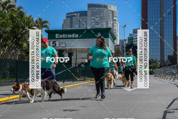 Buy your photos of the event2� Pet Run Shopping Eldorado  on Fotop