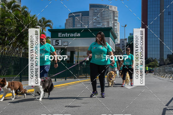 Buy your photos of the event2� Pet Run Shopping Eldorado  on Fotop