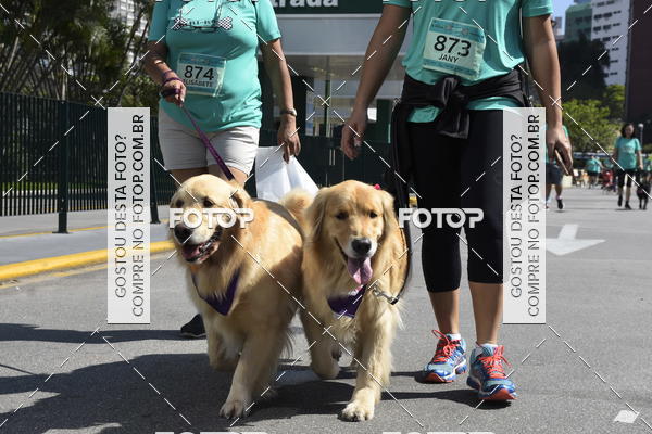 Buy your photos of the event2� Pet Run Shopping Eldorado  on Fotop