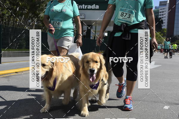 Buy your photos of the event2� Pet Run Shopping Eldorado  on Fotop
