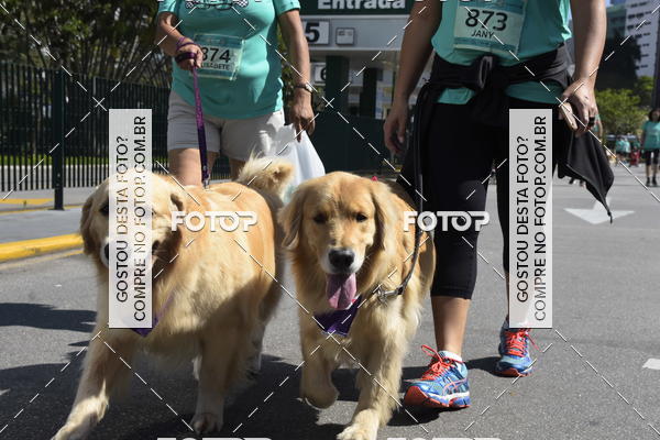 Buy your photos of the event2� Pet Run Shopping Eldorado  on Fotop