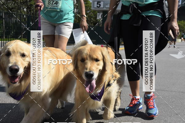 Buy your photos of the event2� Pet Run Shopping Eldorado  on Fotop