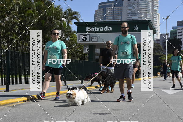 Buy your photos of the event2� Pet Run Shopping Eldorado  on Fotop