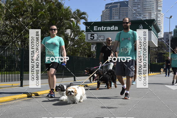 Buy your photos of the event2� Pet Run Shopping Eldorado  on Fotop
