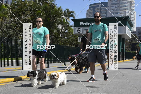 Buy your photos of the event2� Pet Run Shopping Eldorado  on Fotop