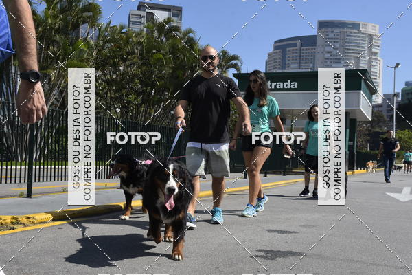 Buy your photos of the event2� Pet Run Shopping Eldorado  on Fotop