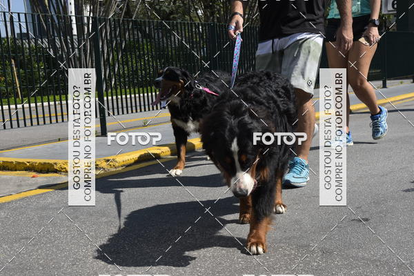 Buy your photos of the event2� Pet Run Shopping Eldorado  on Fotop