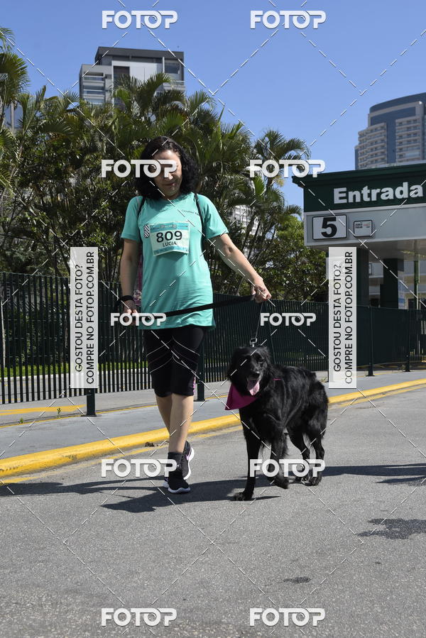 Buy your photos of the event2� Pet Run Shopping Eldorado  on Fotop