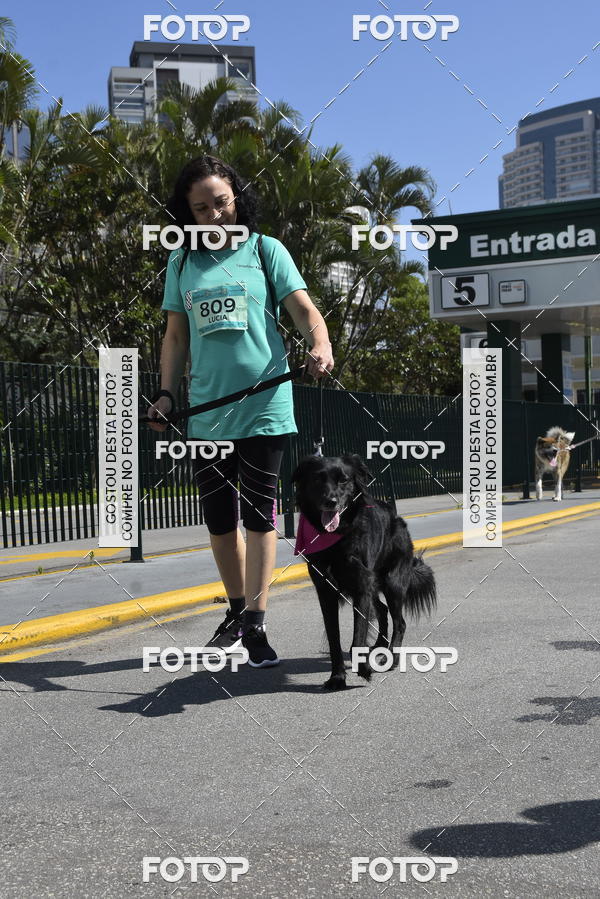 Buy your photos of the event2� Pet Run Shopping Eldorado  on Fotop