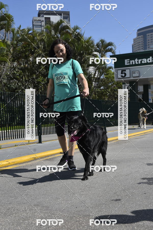 Buy your photos of the event2� Pet Run Shopping Eldorado  on Fotop