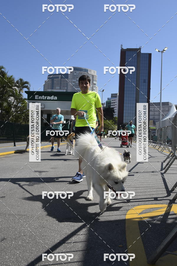 Buy your photos of the event2� Pet Run Shopping Eldorado  on Fotop