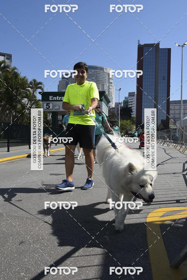 Buy your photos of the event2� Pet Run Shopping Eldorado  on Fotop