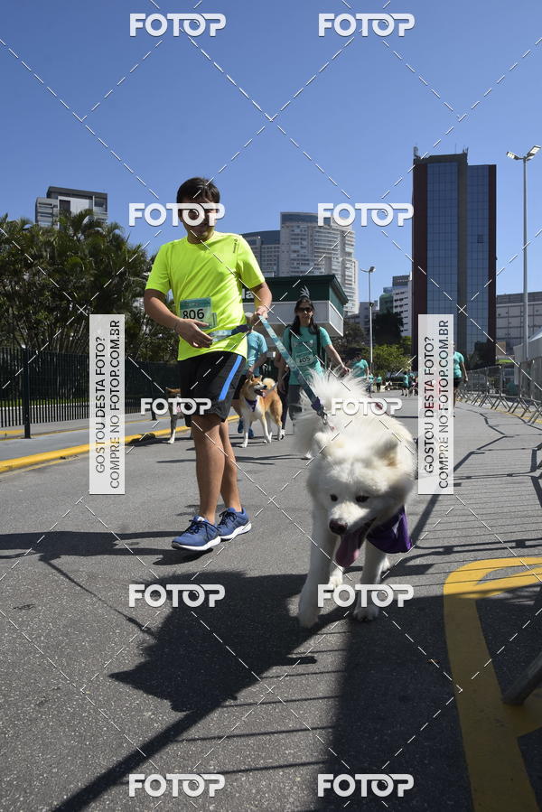 Buy your photos of the event2� Pet Run Shopping Eldorado  on Fotop