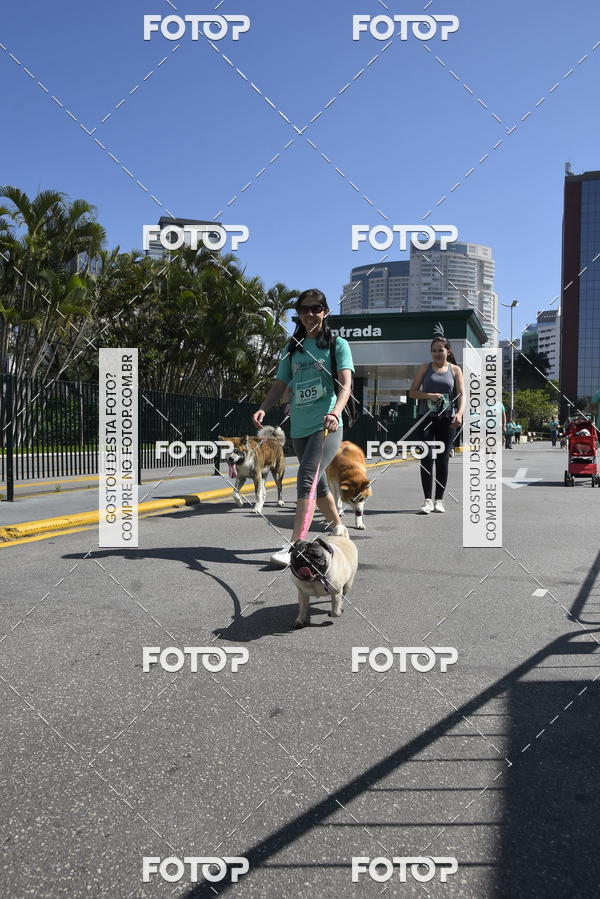 Buy your photos of the event2� Pet Run Shopping Eldorado  on Fotop