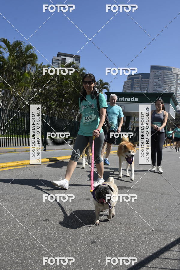 Buy your photos of the event2� Pet Run Shopping Eldorado  on Fotop