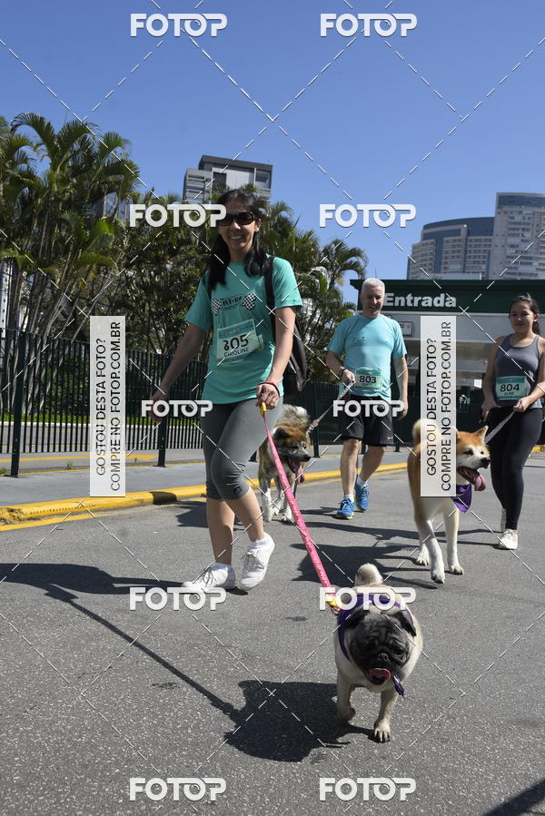 Buy your photos of the event2� Pet Run Shopping Eldorado  on Fotop