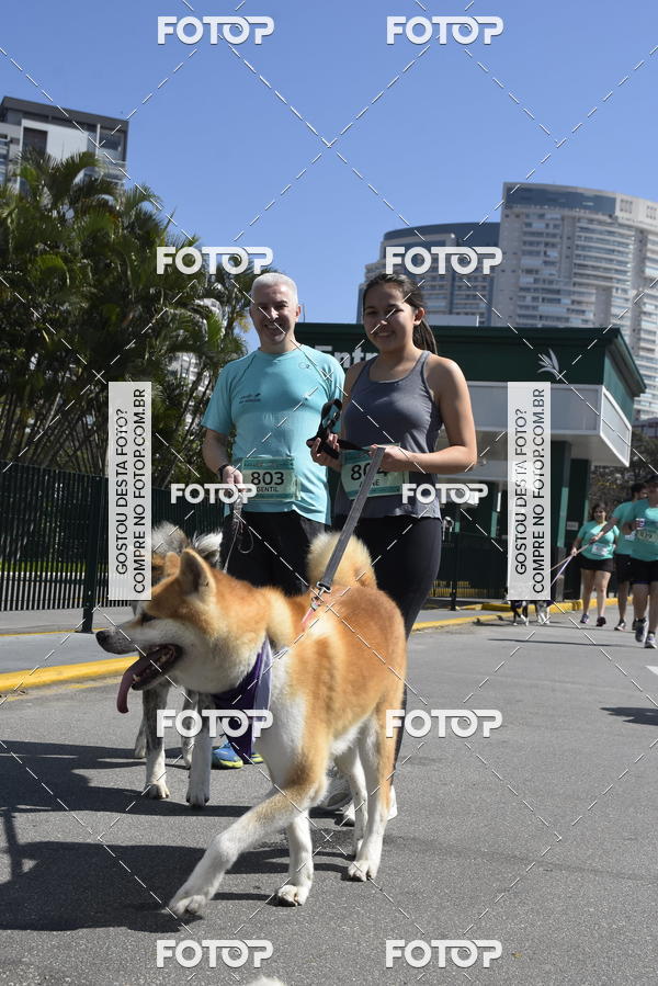 Buy your photos of the event2� Pet Run Shopping Eldorado  on Fotop