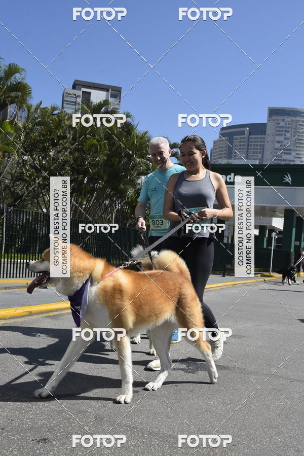 Buy your photos of the event2� Pet Run Shopping Eldorado  on Fotop