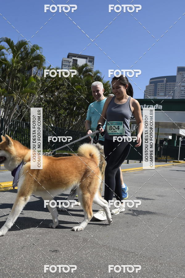 Buy your photos of the event2� Pet Run Shopping Eldorado  on Fotop