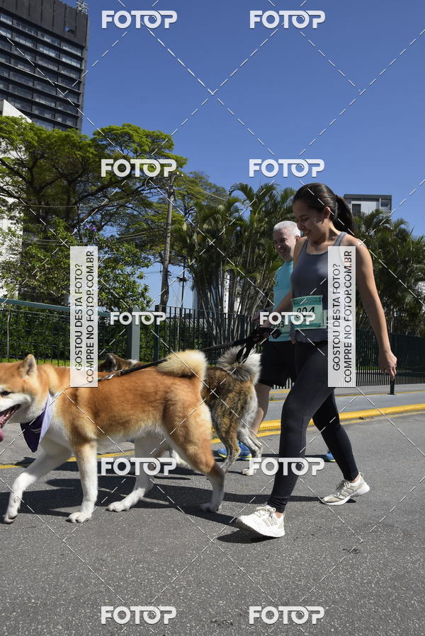 Buy your photos of the event2� Pet Run Shopping Eldorado  on Fotop