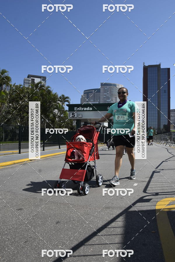 Buy your photos of the event2� Pet Run Shopping Eldorado  on Fotop
