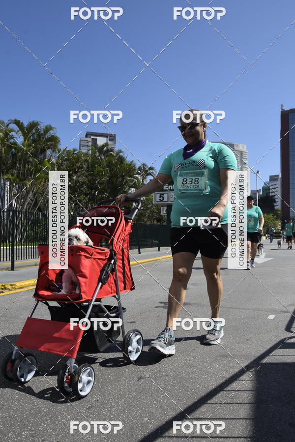 Buy your photos of the event2� Pet Run Shopping Eldorado  on Fotop