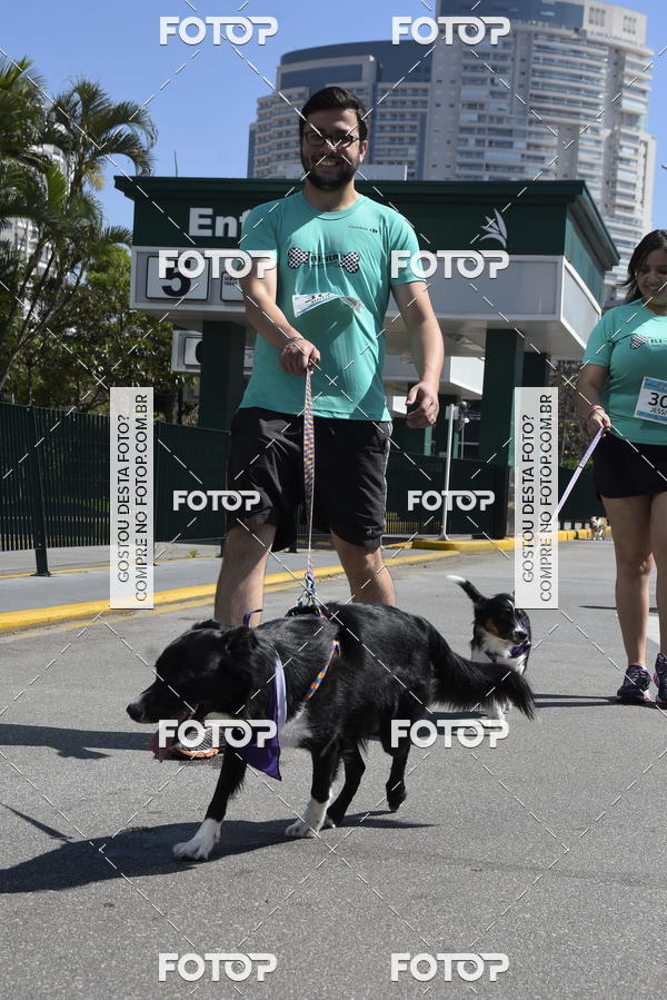 Buy your photos of the event2� Pet Run Shopping Eldorado  on Fotop