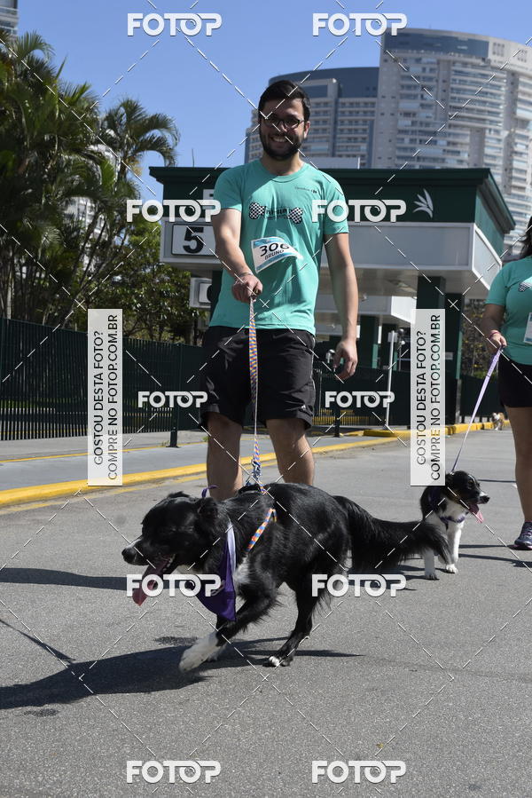 Buy your photos of the event2� Pet Run Shopping Eldorado  on Fotop