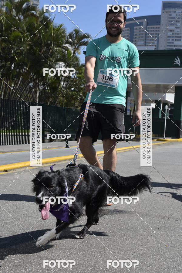 Buy your photos of the event2� Pet Run Shopping Eldorado  on Fotop