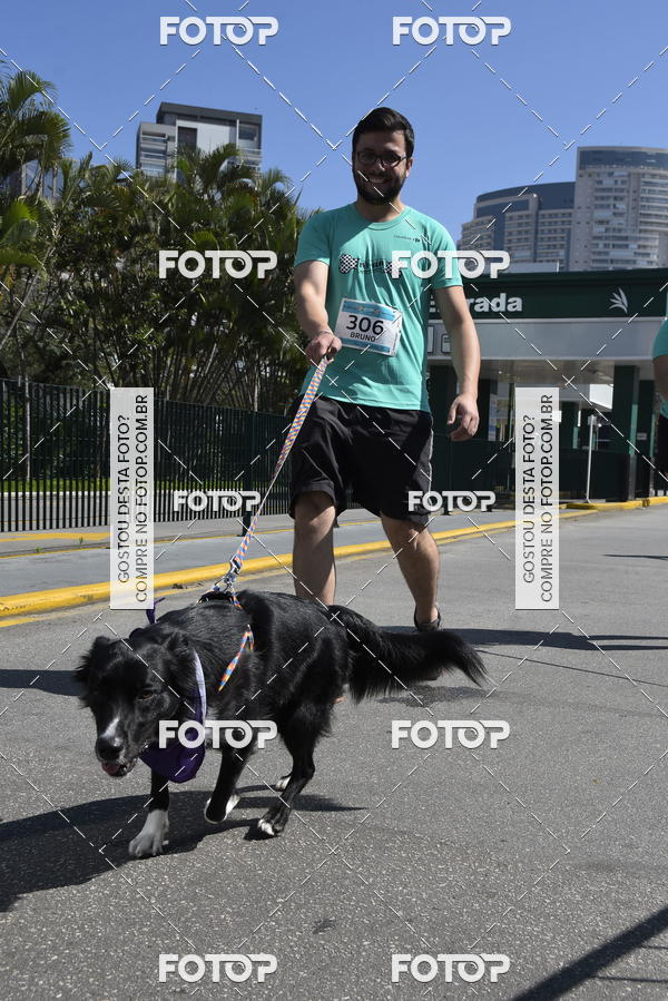 Buy your photos of the event2� Pet Run Shopping Eldorado  on Fotop