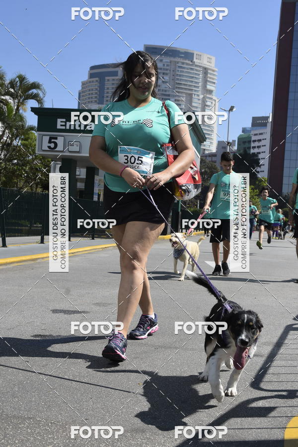 Buy your photos of the event2� Pet Run Shopping Eldorado  on Fotop