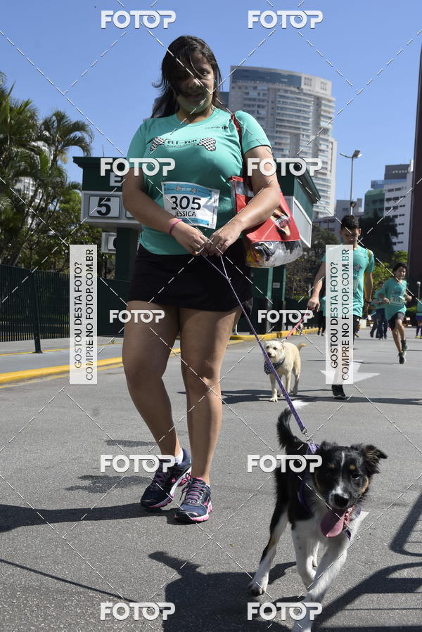 Buy your photos of the event2� Pet Run Shopping Eldorado  on Fotop