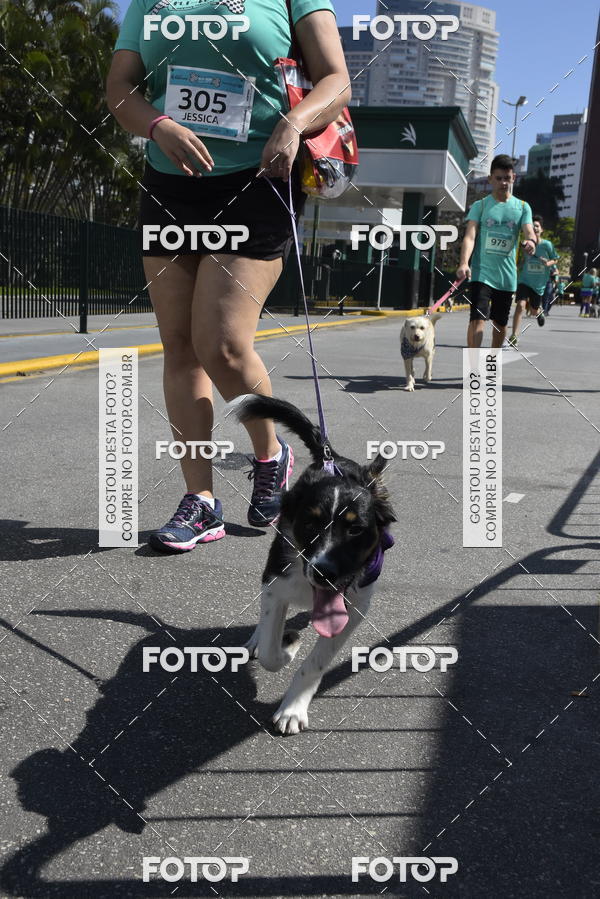 Buy your photos of the event2� Pet Run Shopping Eldorado  on Fotop