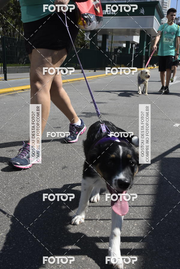 Buy your photos of the event2� Pet Run Shopping Eldorado  on Fotop
