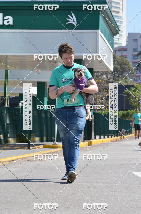 Buy your photos of the event2� Pet Run Shopping Eldorado  on Fotop