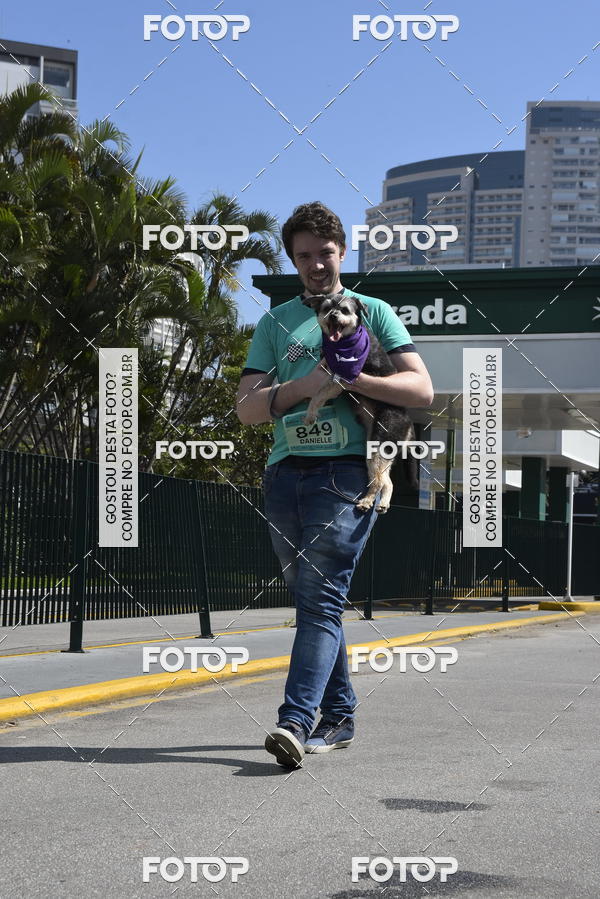 Buy your photos of the event2� Pet Run Shopping Eldorado  on Fotop