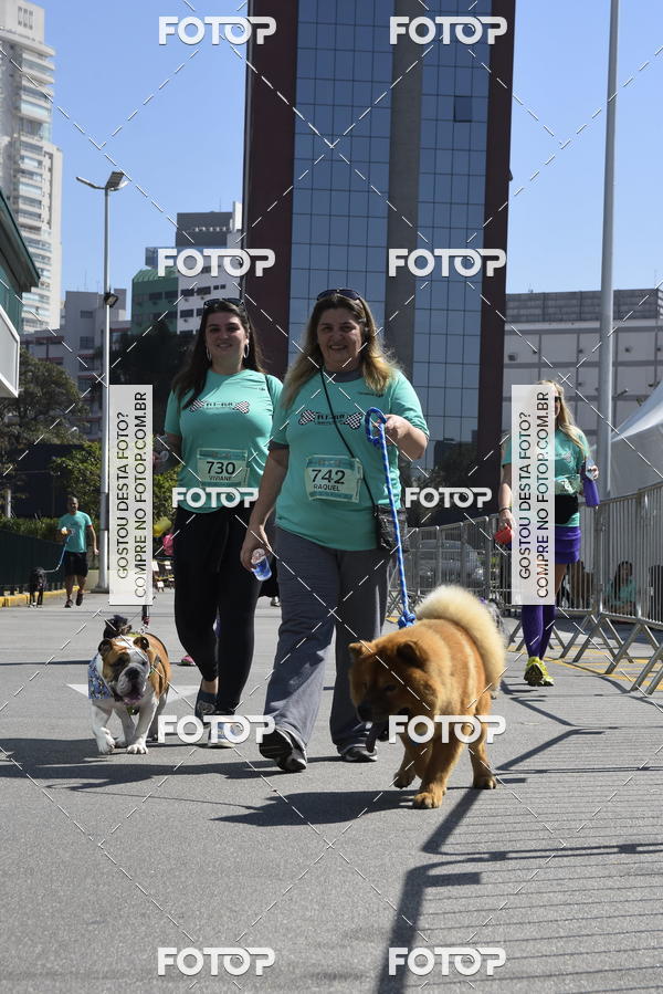 Buy your photos of the event2� Pet Run Shopping Eldorado  on Fotop