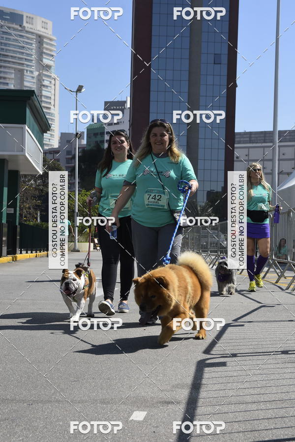 Buy your photos of the event2� Pet Run Shopping Eldorado  on Fotop