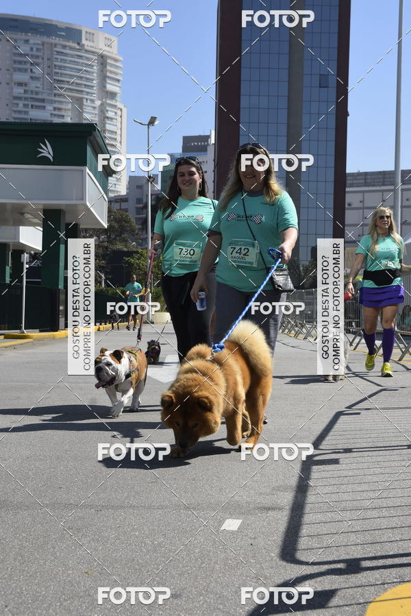 Buy your photos of the event2� Pet Run Shopping Eldorado  on Fotop